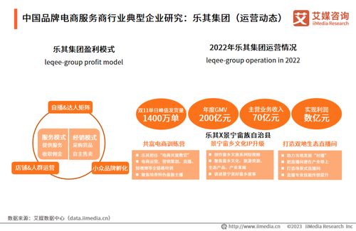2023年中国品牌电商服务商行业研究报告 软件研发驱动增长新范式
